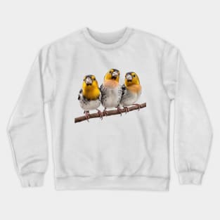 Three Finches on a Branch Crewneck Sweatshirt